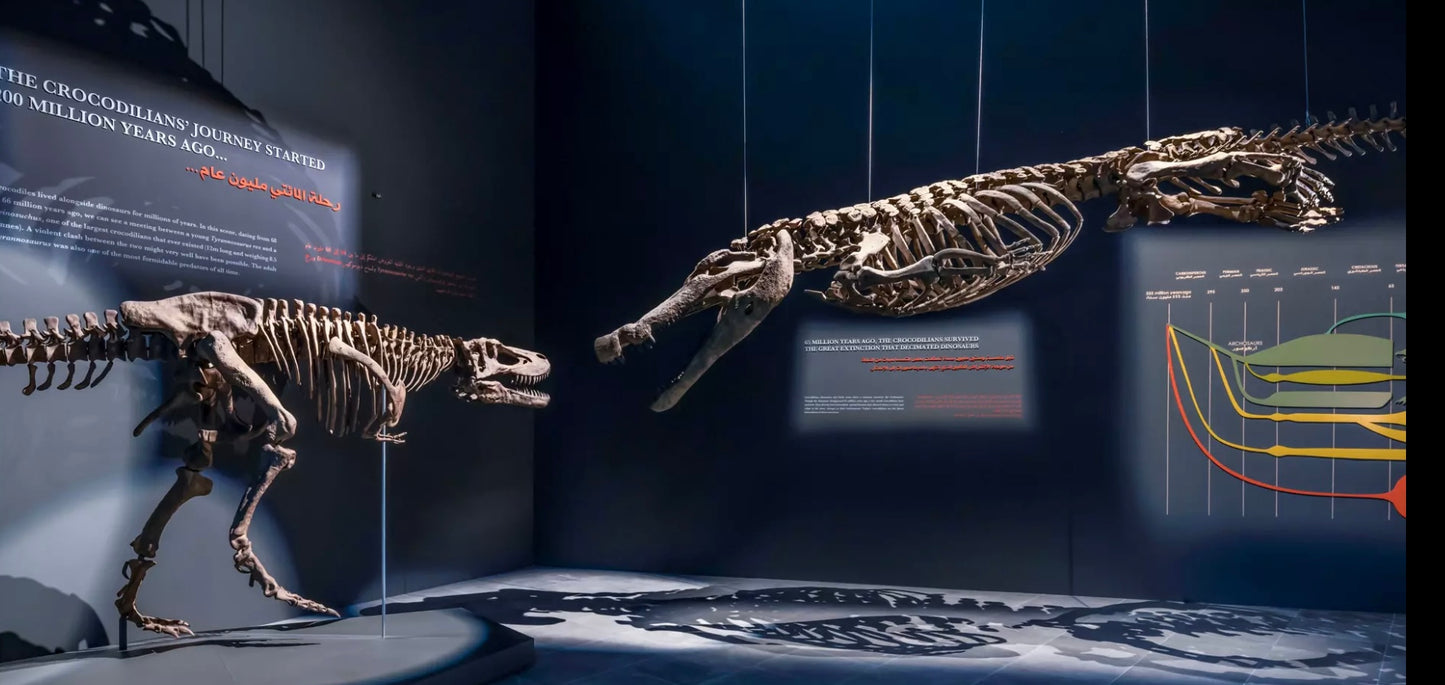 Dubai Crocodile Park