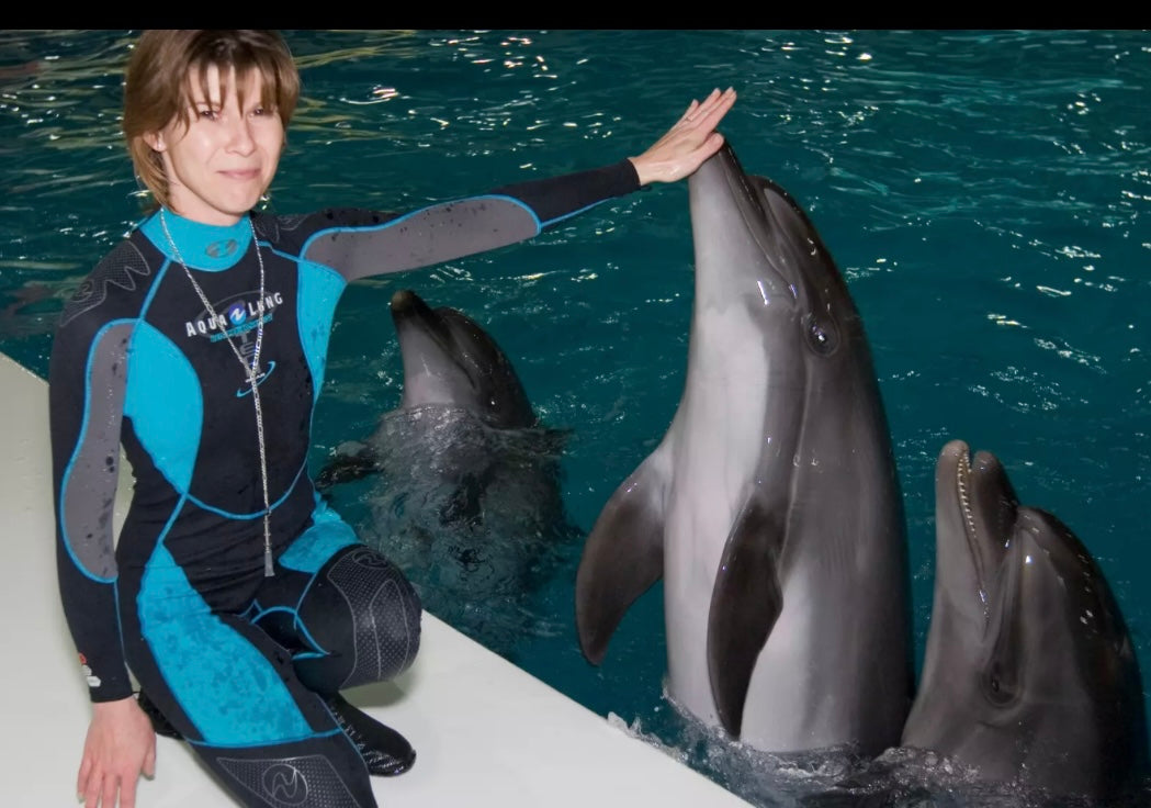 Dubai Dolphinarium – Billets Général & VIP