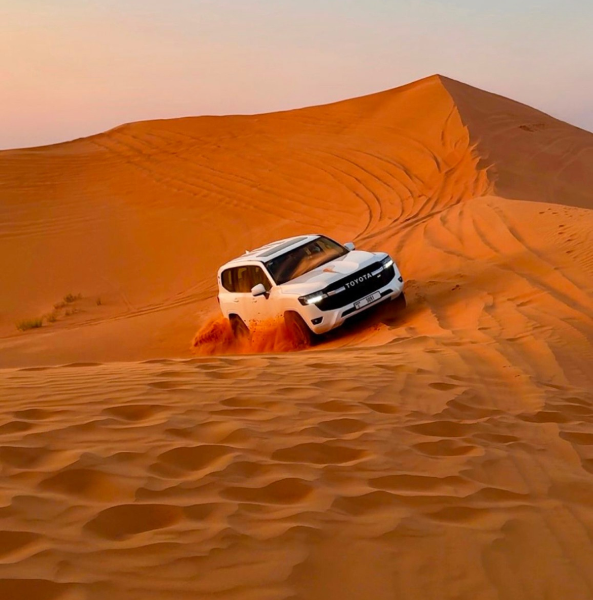 Desert Safari - Private Vehicle, Dinner, Shows & Sunset