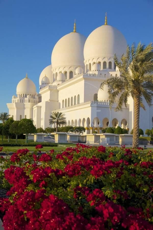 Excursion à Abu Dhabi – Mosquée
